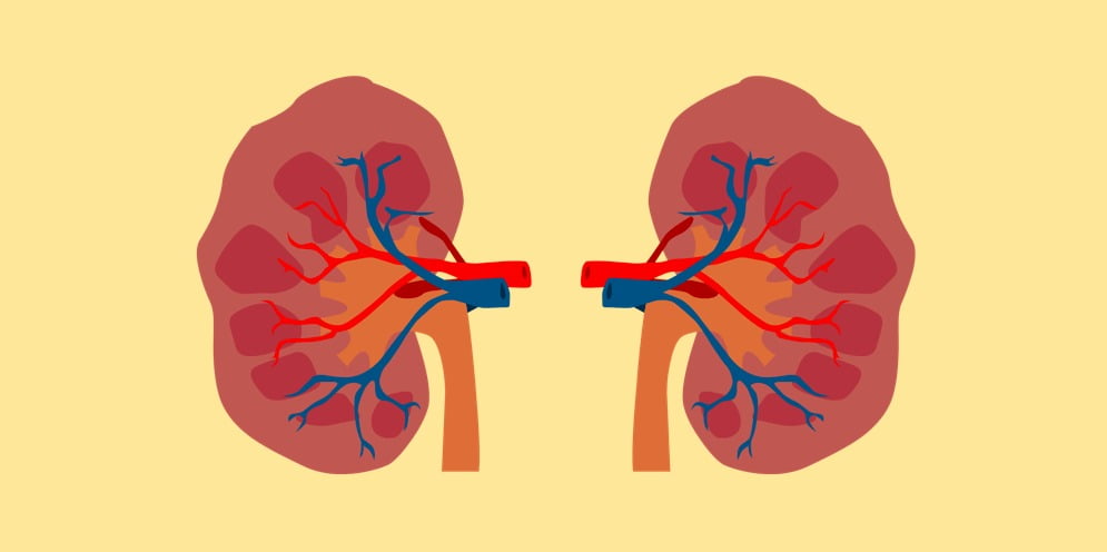 thận yếu gây ra nhiều hệ lụy